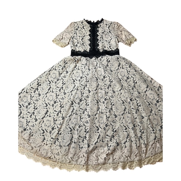 Tan & Black Lace Lined Midi Dress - Size 4 - Picture 5 of 11